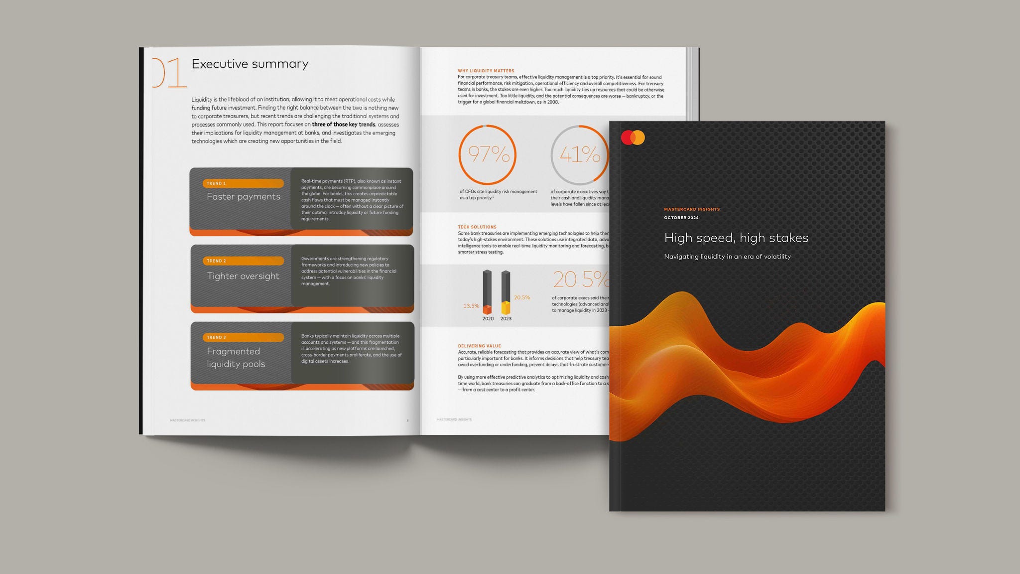 Thumbnail of a booklet displaying the report
